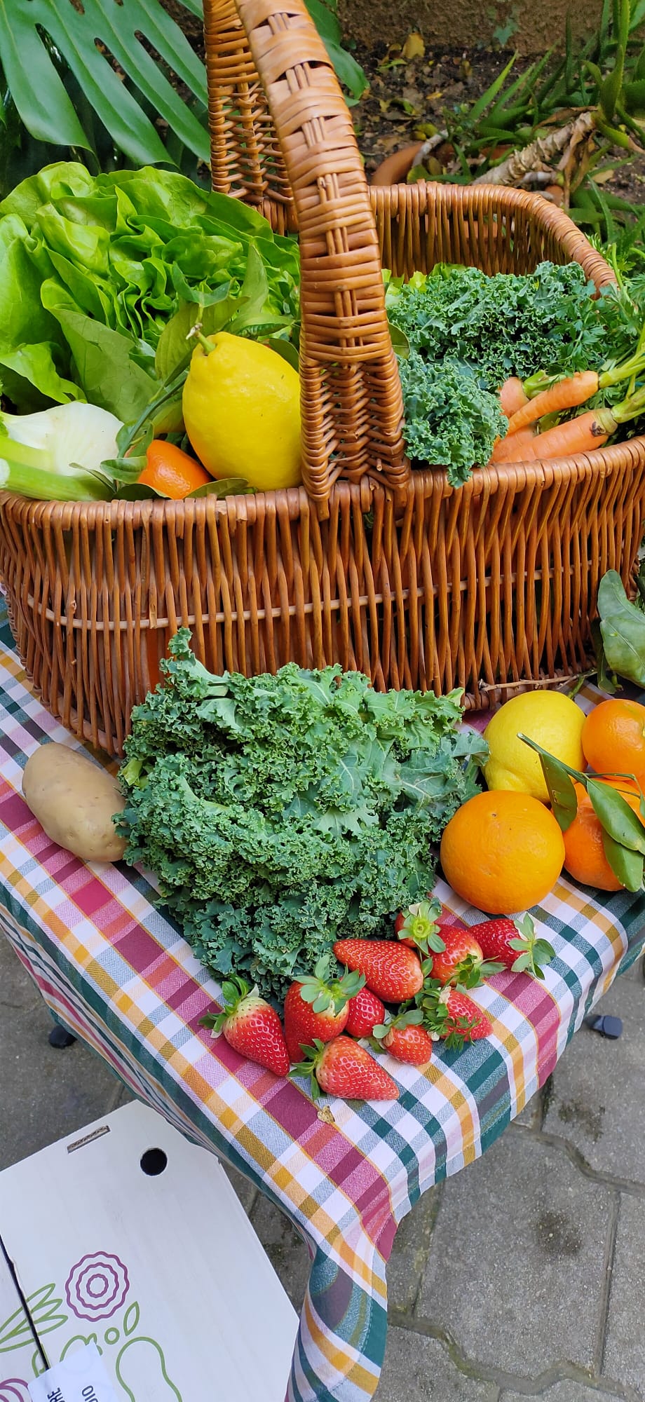 box frutta e verdura
