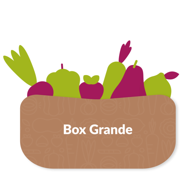 box grande frutta e verdura a domicilio